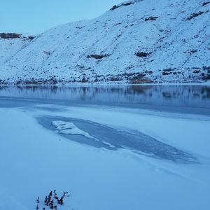 Meet your Posher, Justin